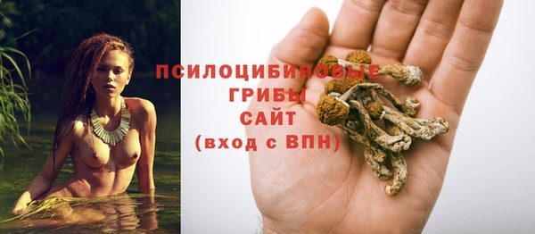гашик Надым