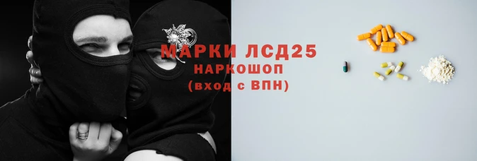 гашик Надым