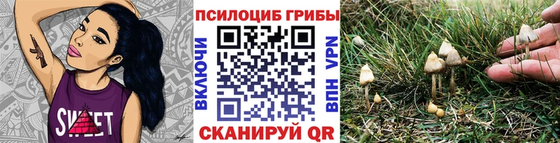 Галлюциногенные грибы MAGIC MUSHROOMS  Остров 